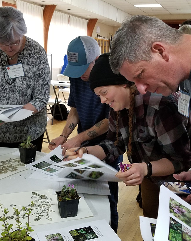 Identifying weeds